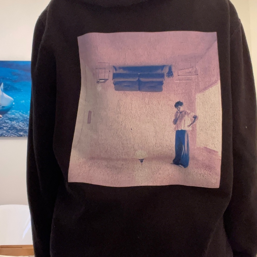 Hoodie Harry's House